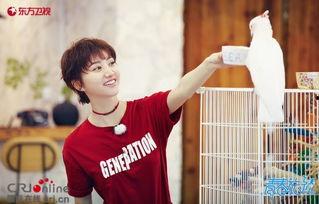 娱乐吃瓜社王源,娱乐圈的甜蜜瓜果，揭秘他的成长与蜕变